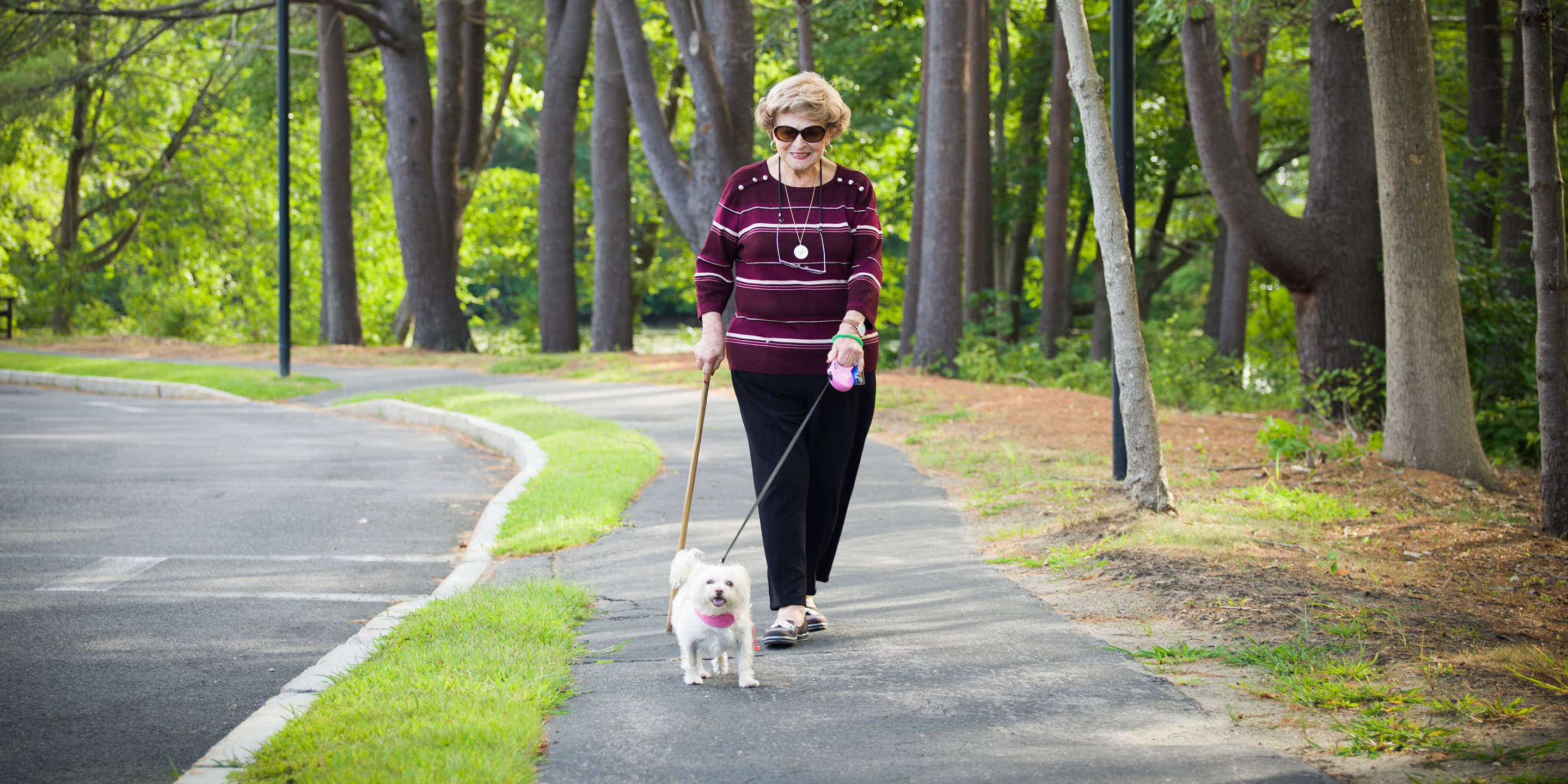 Walking sales the dog